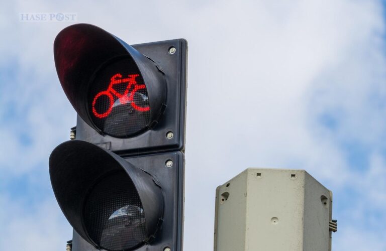 Rote Fahrradampel (Symbolbild)