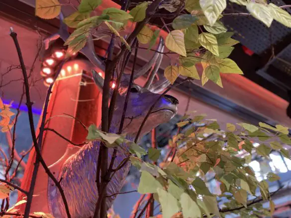 Das Maidorf 2022 im Alando Ballhaus / Foto: Pohlmann