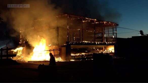 Raub der Flammen: Sägewerk bei zweitem Feuer zerstört