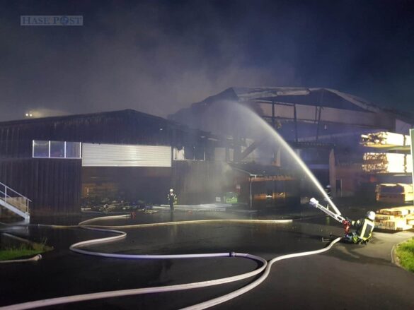 Raub der Flammen: Sägewerk bei zweitem Feuer zerstört