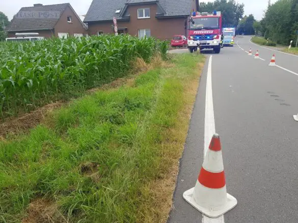 Auto prallt gegen Hauswand in Borgloh