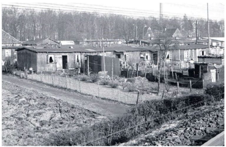 Baracken der „Papenhütte“ 1953. Foto: Kurt Löckmann / Archiv NOZ