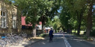 Radschnellweg Gartlage / Foto: Schulte