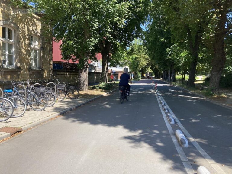Radschnellweg Gartlage / Foto: Schulte