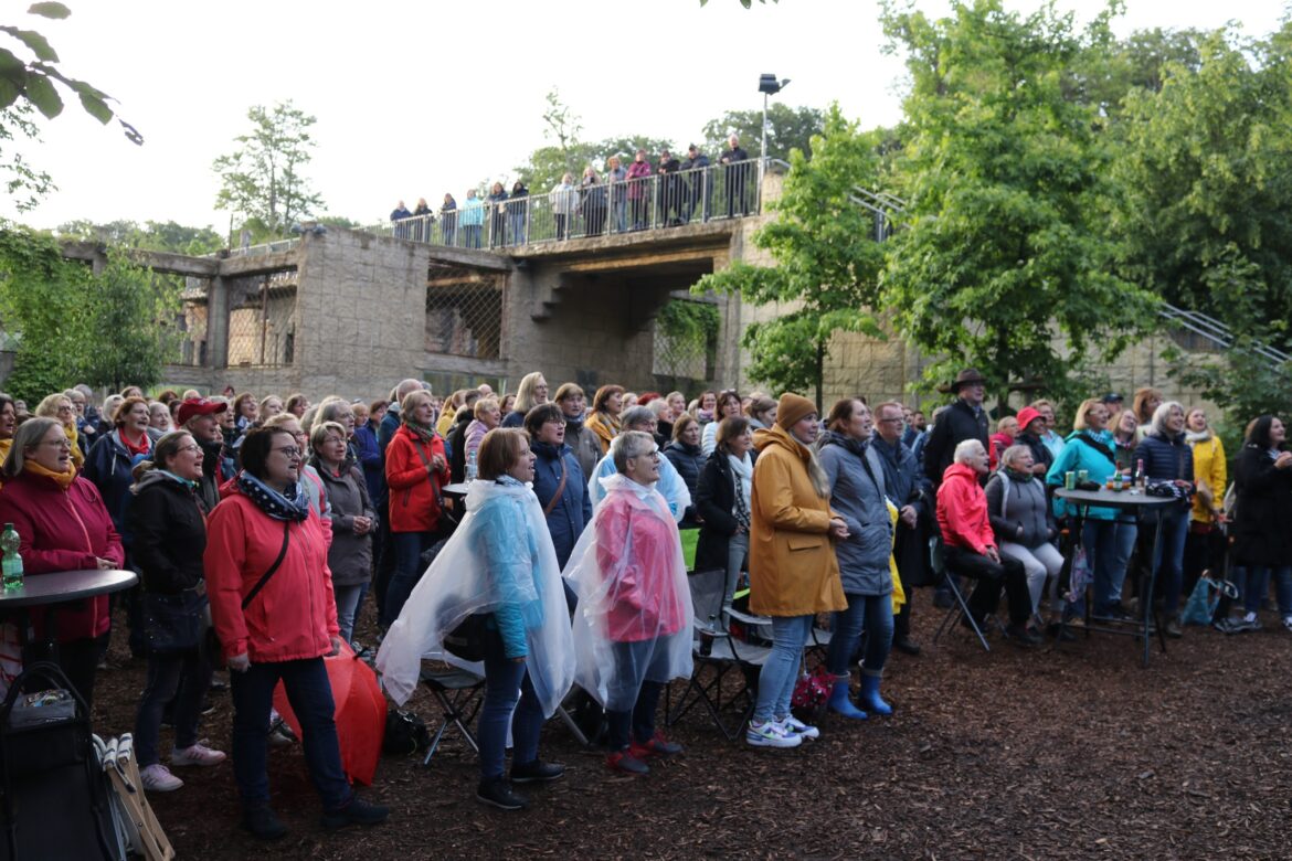 Automatisch gespeicherter Entwurf