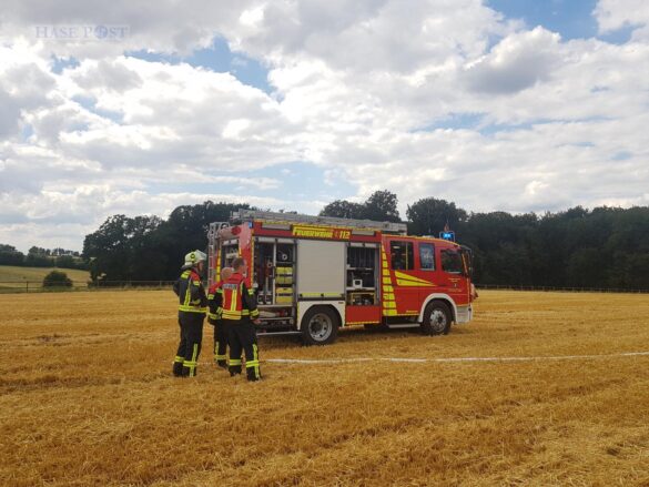 Großalarm: Feld brennt, Feuerwehr kann Waldbrand gerade noch verhindern