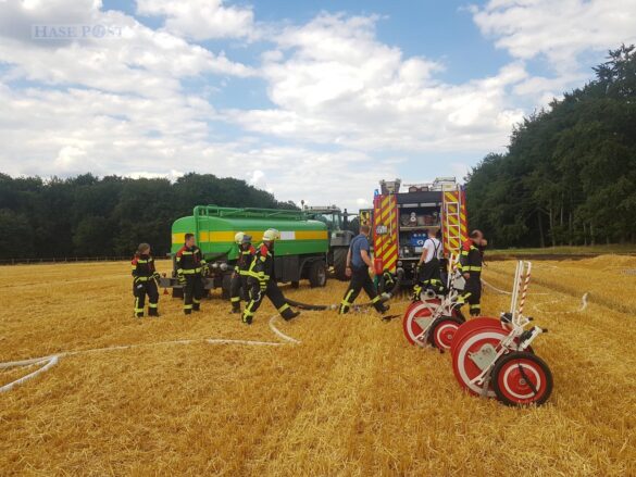 Großalarm: Feld brennt, Feuerwehr kann Waldbrand gerade noch verhindern