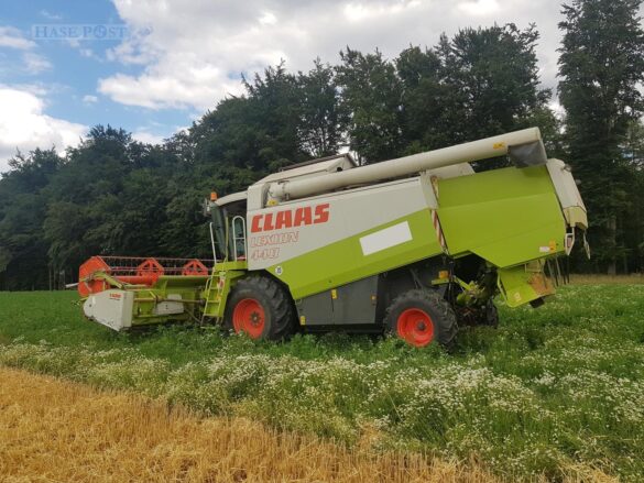 Großalarm: Feld brennt, Feuerwehr kann Waldbrand gerade noch verhindern
