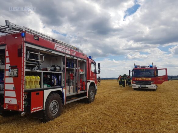 Großalarm: Feld brennt, Feuerwehr kann Waldbrand gerade noch verhindern