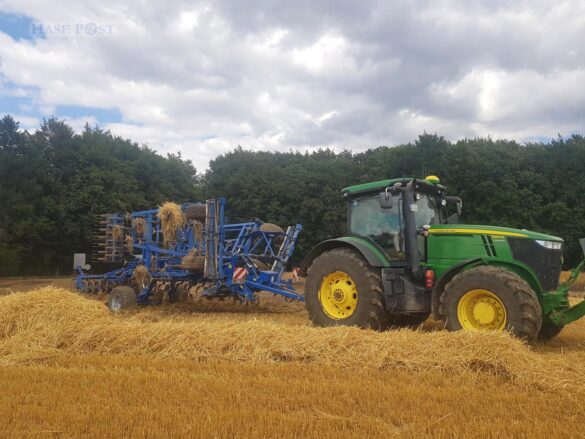 Großalarm: Feld brennt, Feuerwehr kann Waldbrand gerade noch verhindern