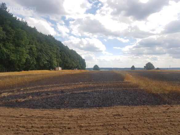 Großalarm: Feld brennt, Feuerwehr kann Waldbrand gerade noch verhindern