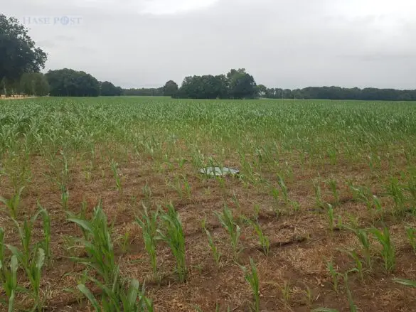 Wieder schwerer Unfall an Kreuzung in Ostercappeln, ein Mensch in Lebensgefahr Wieder schwerer Unfall an Kreuzung in Ostercappeln, ein Mensch in Lebensgefahr