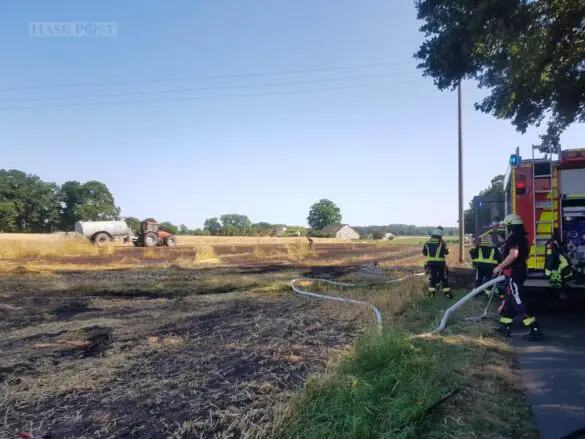 Mehrere Wald- und Flächenbrände im Landkreis Osnabrück