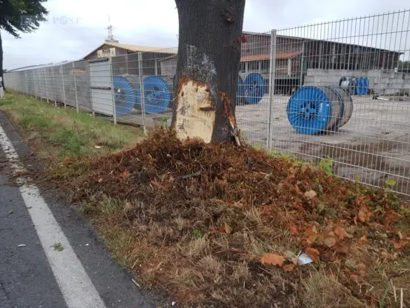 Auto landet kopfüber in Graben – zwei Menschen in Bad Essen verletzt Auto landet kopfüber in Graben – zwei Menschen in Bad Essen verletzt