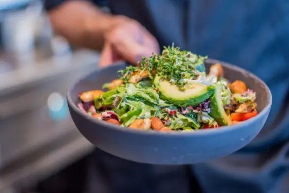 Burger und Salatbowls