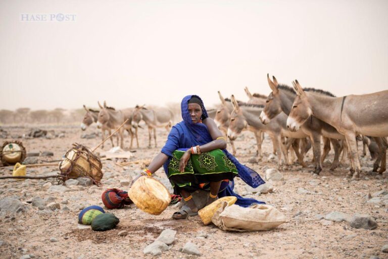 Dürre bedroht viele Menschen in Ostafrika, wie hier in Kenia. / Foto: Caritas international