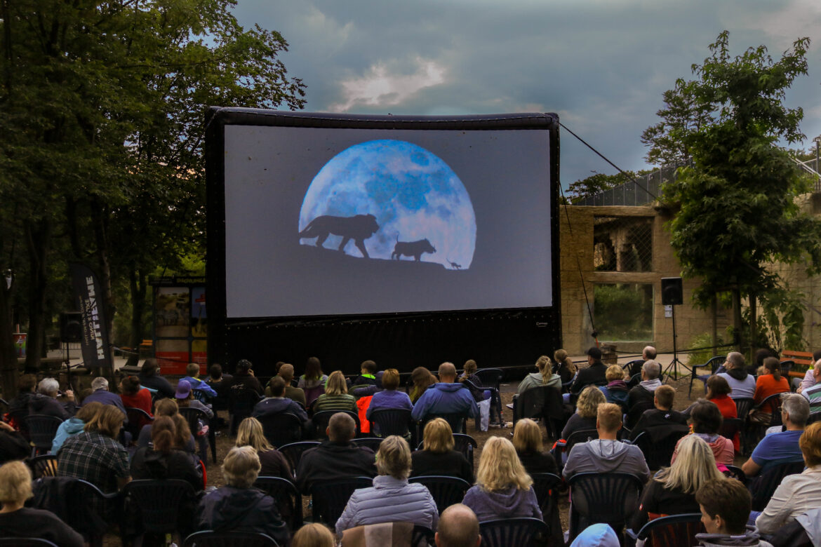 Open-Air-Kino im Zoo Osnabrück