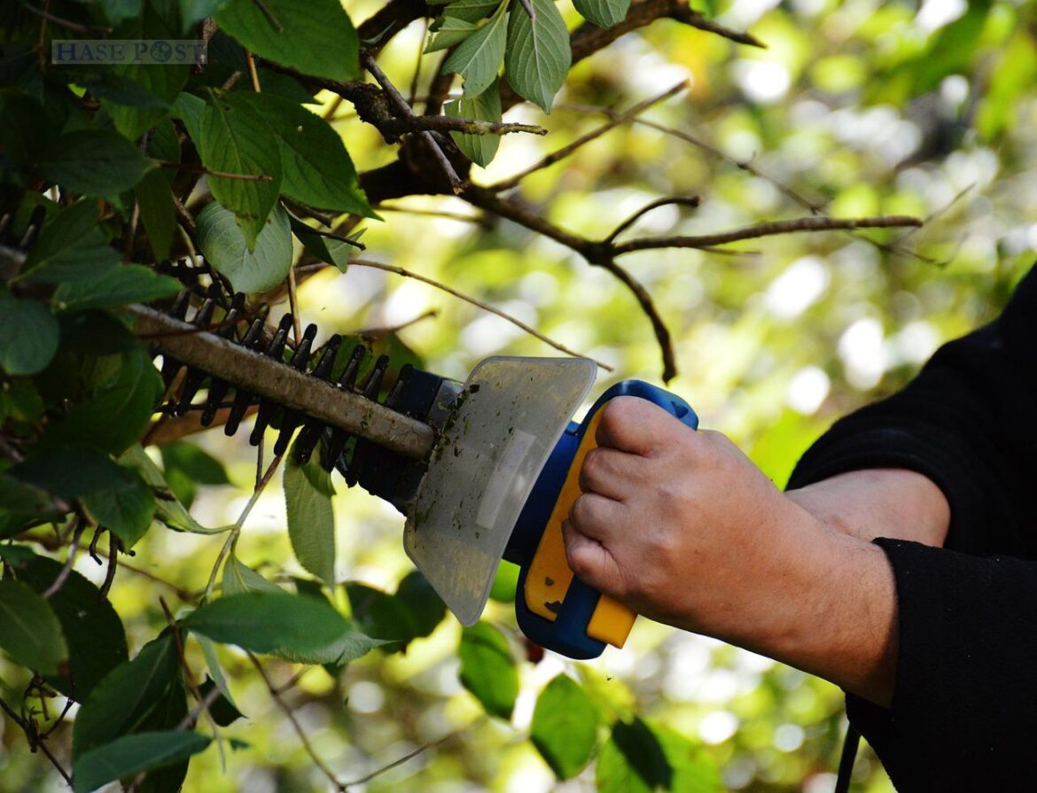 (Symbolbild) Gartenarbeiten
