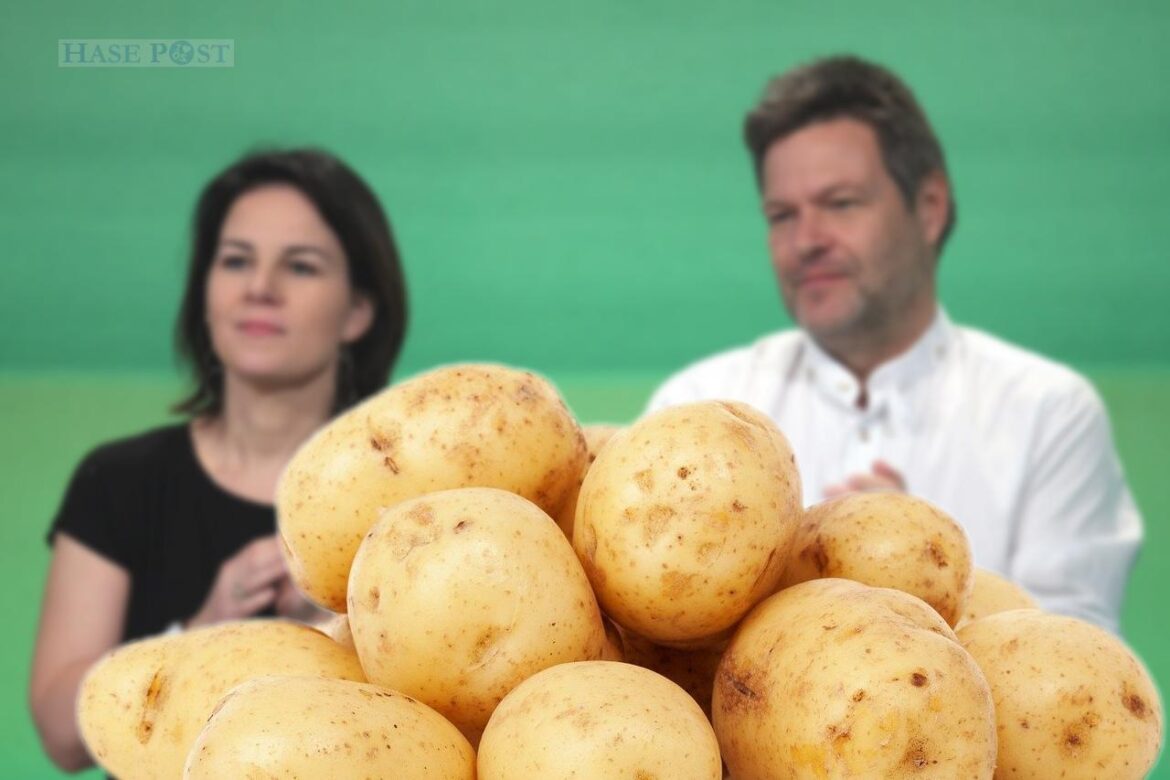 Grüne Kartoffeln