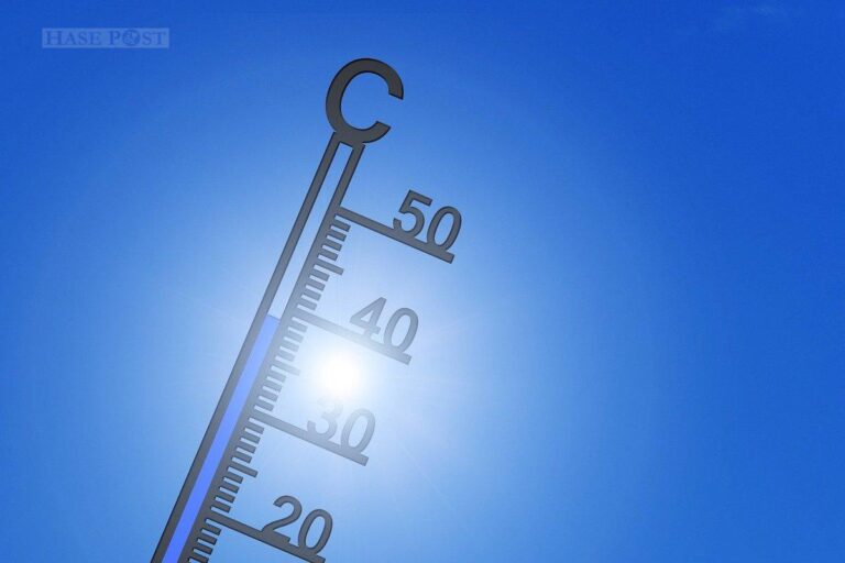 (Symbolbild) Thermometer