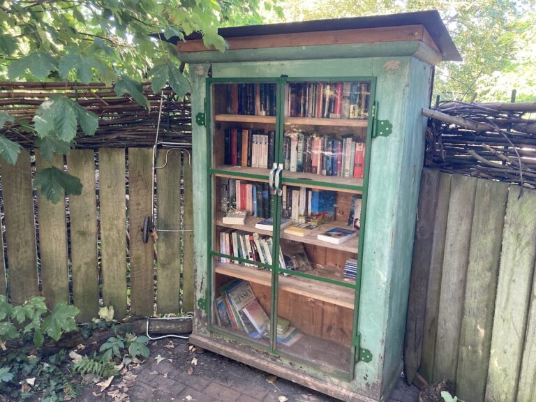 Der öffentliche Bücherschränke am Bürgerpark / Foto: Schulte