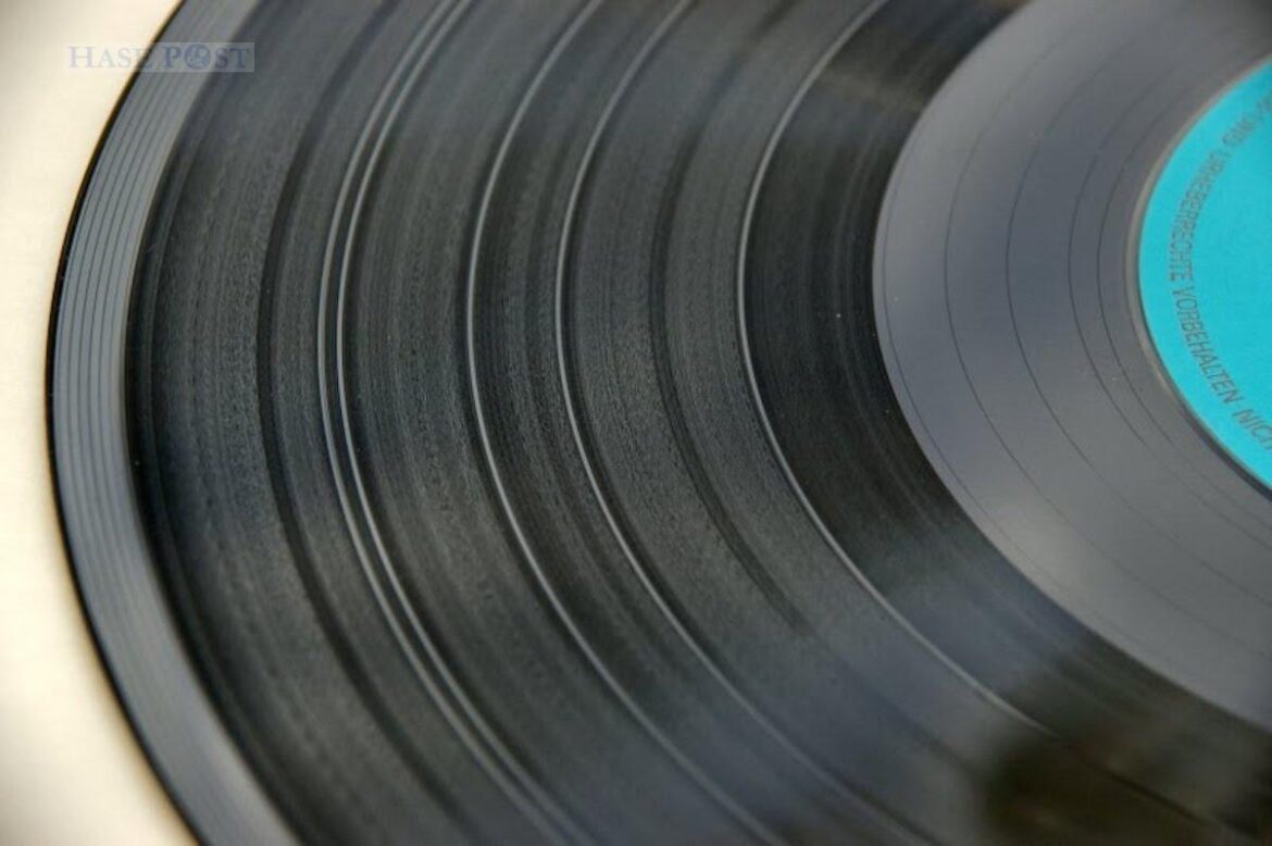 Stöbern erwünscht: Am 4. September kommen Vinyl-Liebhaber auf ihre Kosten. / Foto: Agentur Lauber
