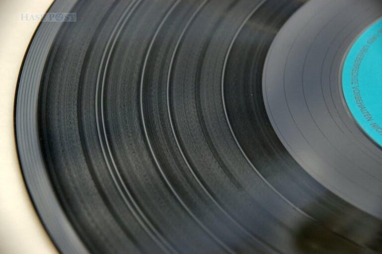 Stöbern erwünscht: Am 4. September kommen Vinyl-Liebhaber auf ihre Kosten. / Foto: Agentur Lauber