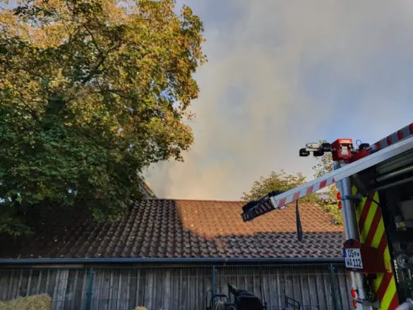 Pferdestall bei Brand in Wallenhorster Ortsmitte zerstört