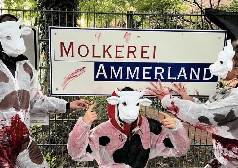 Demonstration bei der Molkerei Ammerland (Screenshot, Instagram Animal Rebellion)
