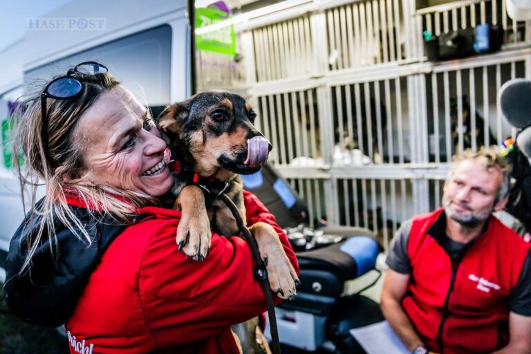 55 Tiere konnten sicher aus der Ukraine nach Osnabrück gebracht werden. / Foto: Gut Aiderbichl