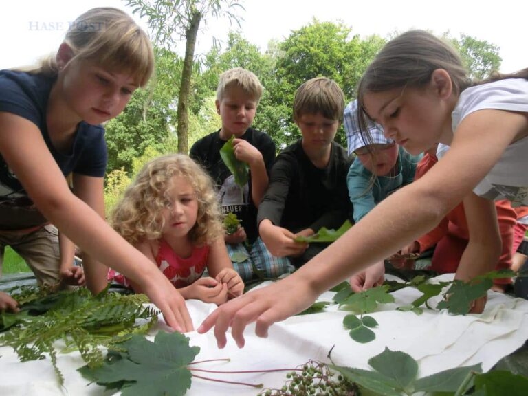 Motivierte Schülerinnen und Schüler durch das Lernen im Wald-Konzept. / Foto: Biologische Station Haseniederung