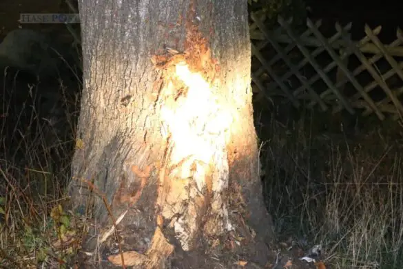 PKW prallt in Bohmte gegen Baum und kippt um, Fahrer wird schwer verletzt