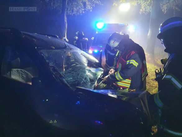 PKW prallt in Melle gegen einen Baum