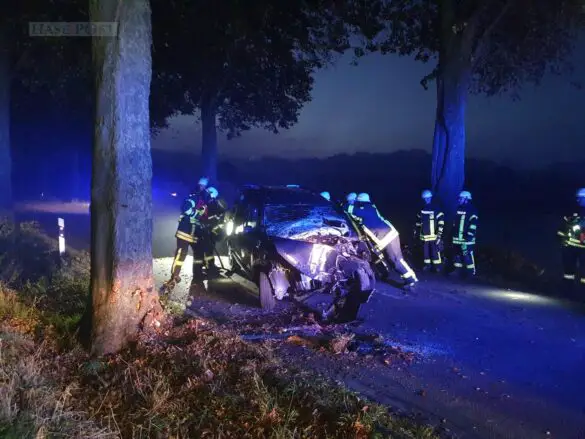 PKW prallt in Melle gegen einen Baum