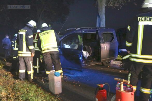 PKW prallt in Melle gegen einen Baum