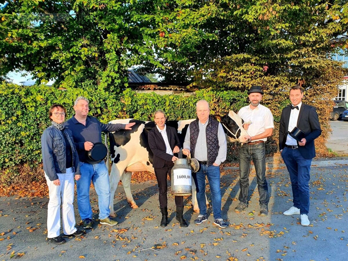 Pia Mohr, Florian Szabados, Christel Buermeyer, Hermann Große-Marke (Osnabrücker Tafel), Jörg Fritzemeier und Thomas Wollherr bei der Spendenübergabe mit dem Belted-Galloway-Bulle "Diabolo". / Foto: Lions Club