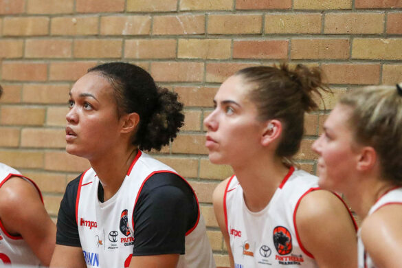 GiroLive- Panthers vs. Alba Berlin, 14.10.2022, Foto: Dieter Reinhard