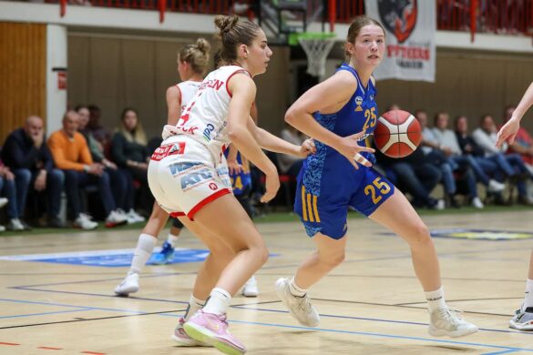 GiroLive- Panthers vs. Alba Berlin, 14.10.2022, Foto: Dieter Reinhard