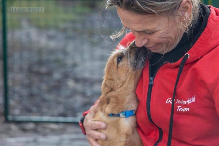 123 Tiere leben jetzt in dem eigens angemieteten Tierheim. / Foto: Gut Aiderbichl