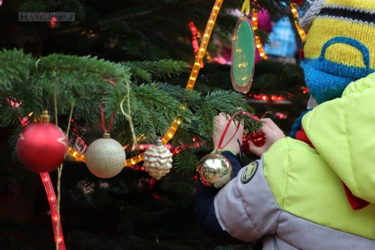 Im Zoo Osnabrück können sich wieder Schulklassen für das Schmücken des großen Weihnachtsbaumes anmelden. / Foto: Zoo Osnabrück