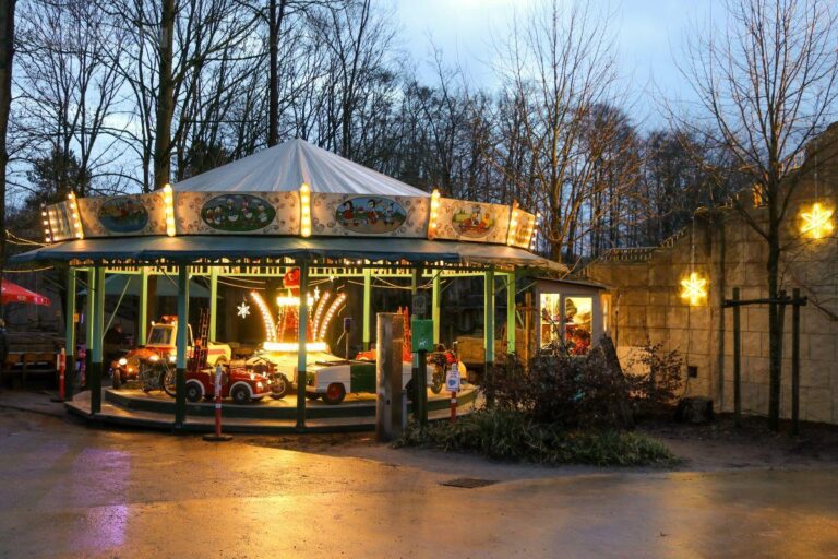 Ein Karussell dreht auf dem Weihnachtsmarkt des Zoo Osnabrück seine Runden. / Foto: Zoo Osnabrück