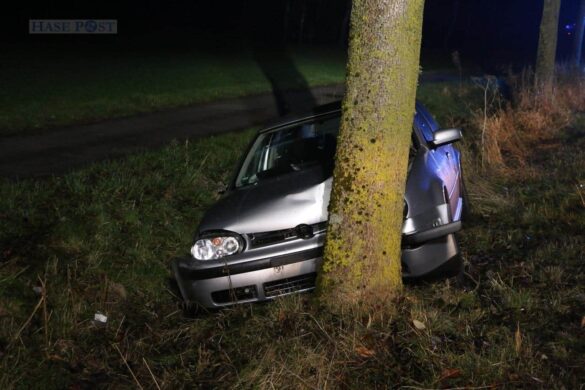 Reh ausgewichen – PKW prallt gegen Baum