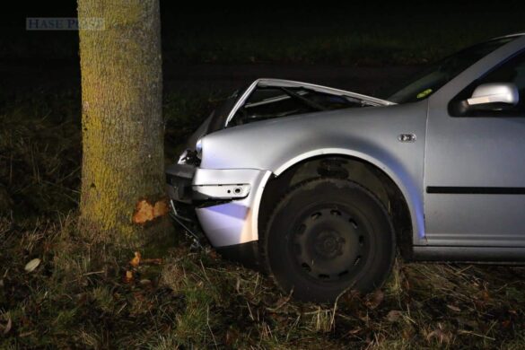 Reh ausgewichen – PKW prallt gegen Baum