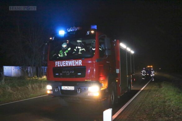 Reh ausgewichen – PKW prallt gegen Baum