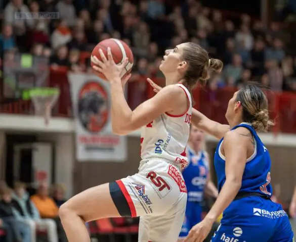 Starker Heimsieg gegen Halle für die GiroLive-Panthers / Foto: Dieter Reinhard