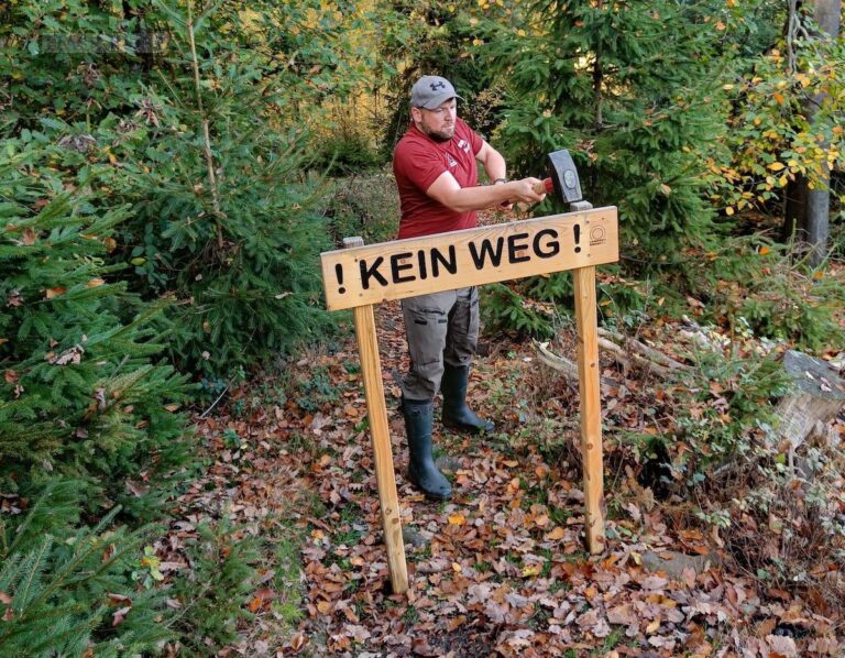 Automatisch gespeicherter Entwurf