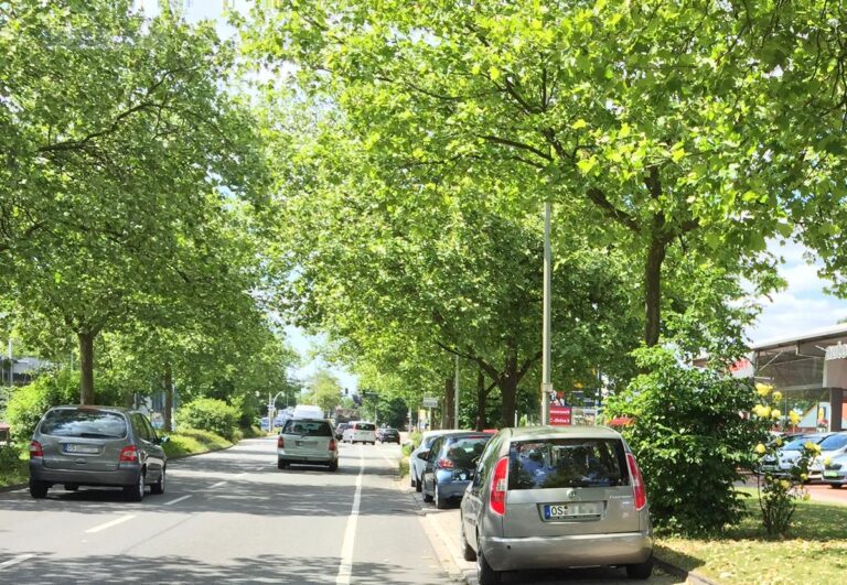 grüne Pagenstecherstraße in Osnabrück Hafen