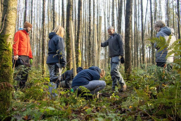 Nachdem die Schülerinnen und Schüler mehr über nachhaltige Waldnutzungsformen und Artenvielfalt in Wäldern gelernt haben, können sie eigenständig mit anpacken und die Eichen pflanzen. / Foto: Natur- und Geopark TERRA.vita