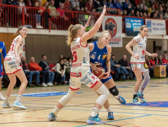 Erkämpfter Sieg zum Weihnachtsfest: GiroLive-Panthers gewinnen letztes Spiel des Jahres mit 71:65