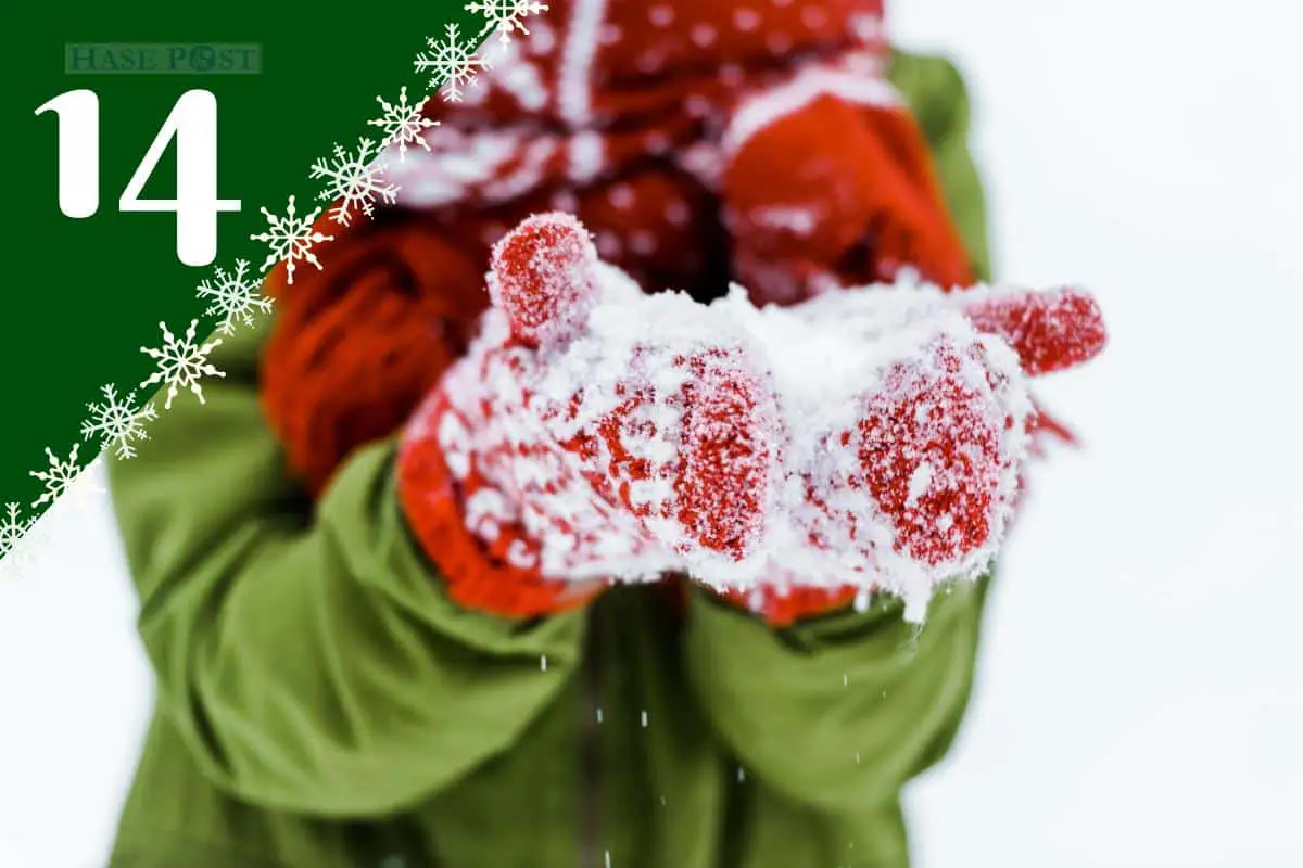 Schneeverklumpte Handschuhe